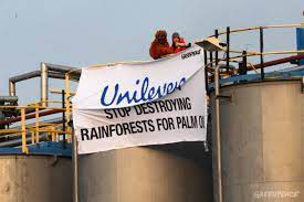 unilever palm oil